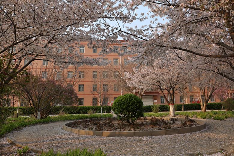 古城新韵，保定——历史与现代的交融之城🏙️🌟