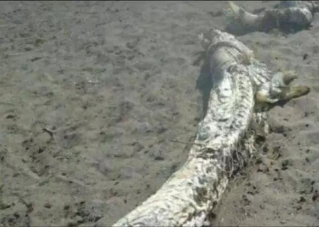 探寻营口城市的独特魅力